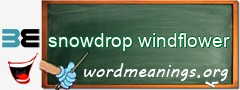 WordMeaning blackboard for snowdrop windflower